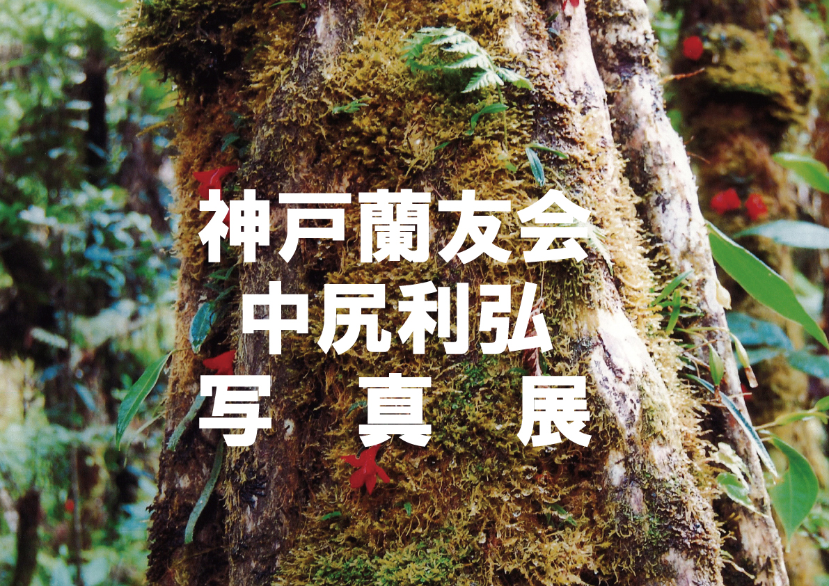 中尻利弘写真展