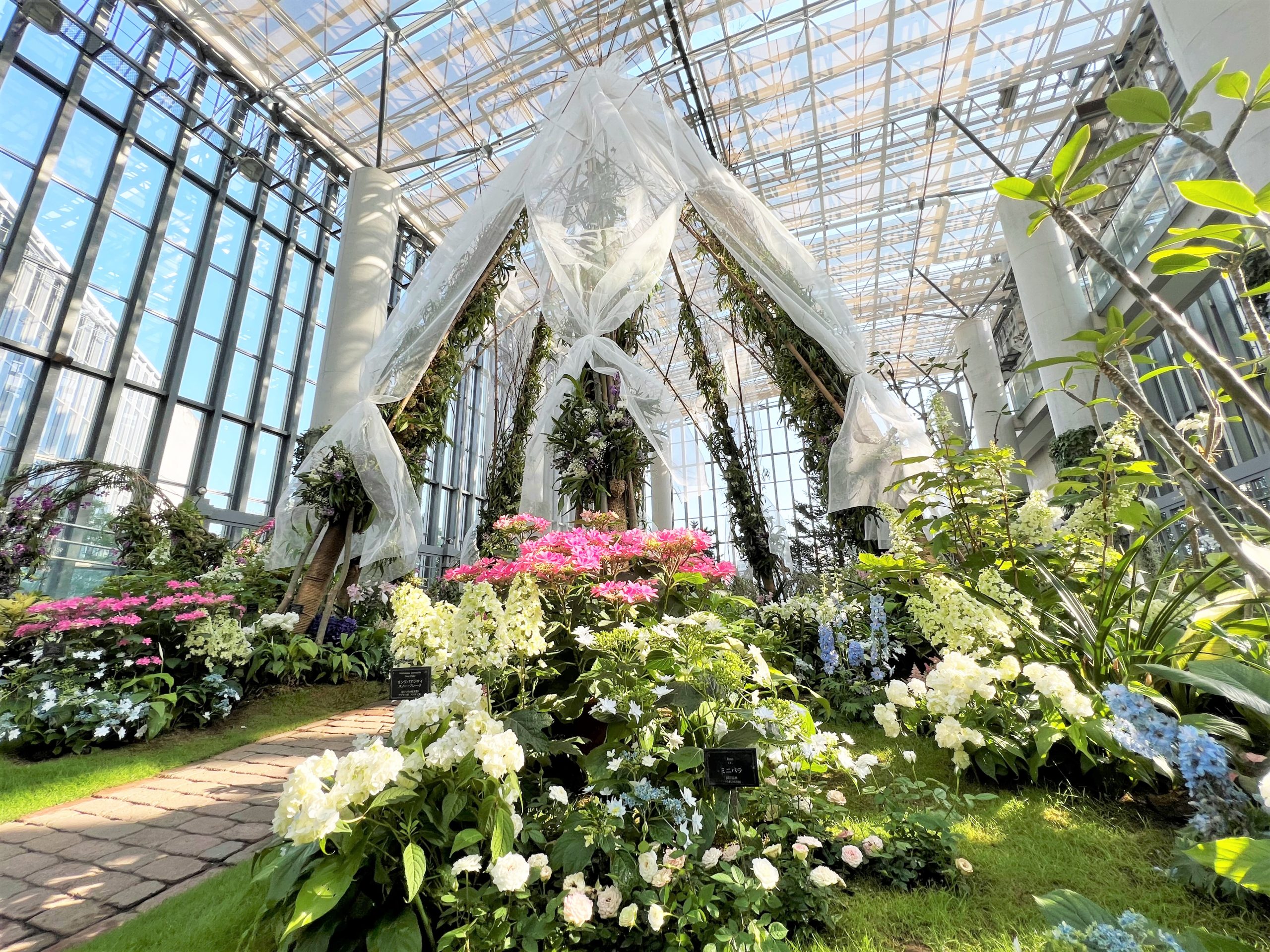 ホワイトガーデン2206