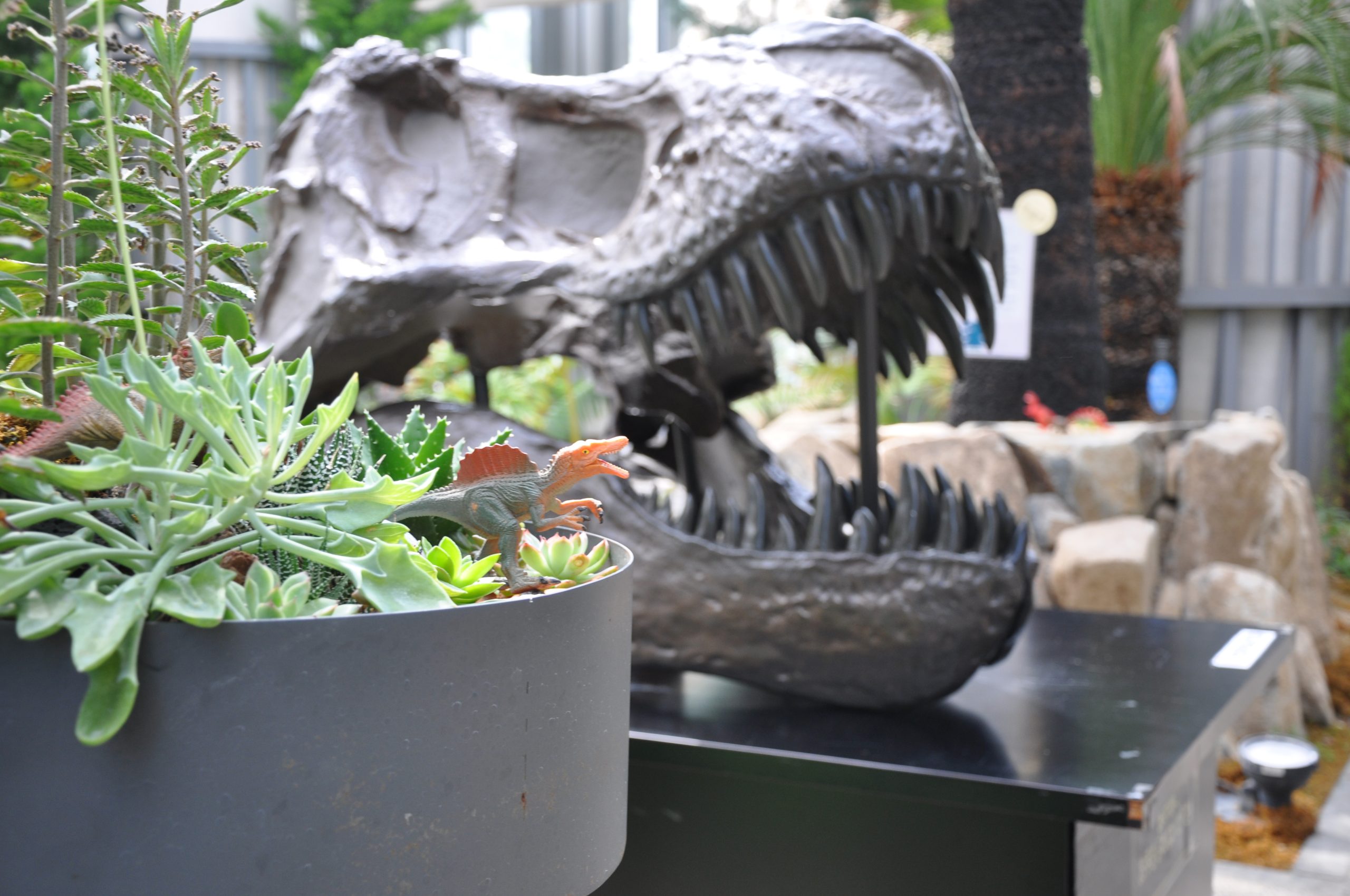 ティラノサウルス頭蓋骨レプリカ