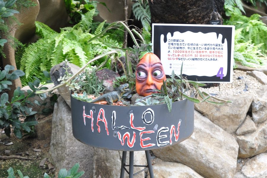 ハロウィンアレンジ