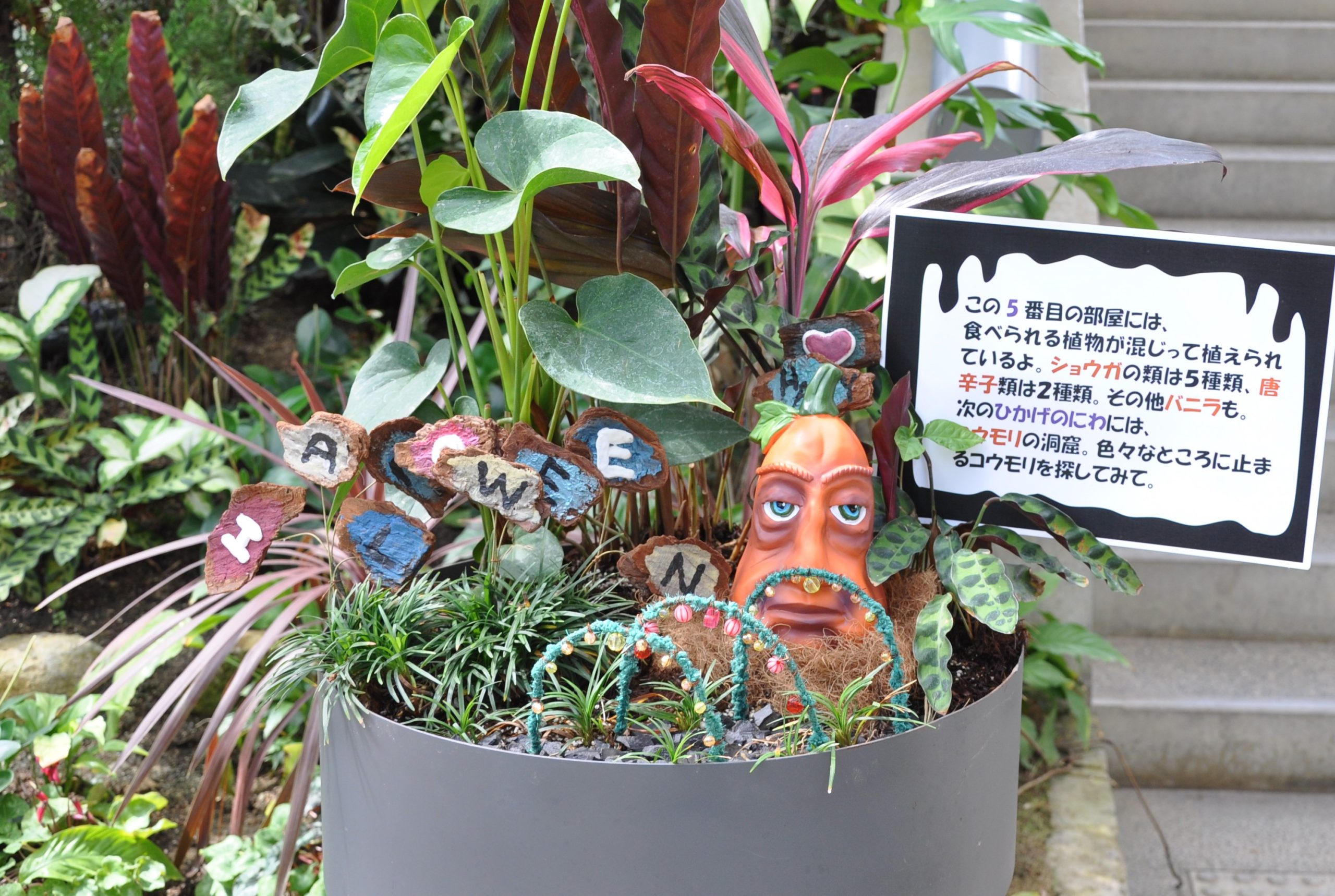 ハロウィンアレンジ