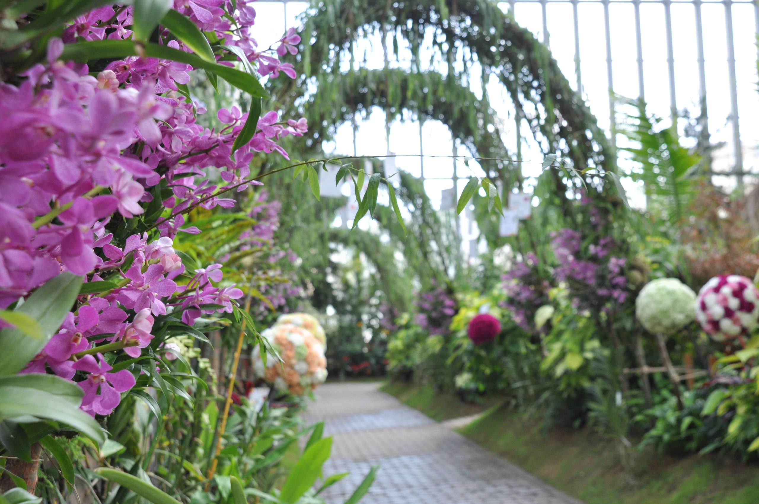 今年も５月は母の月