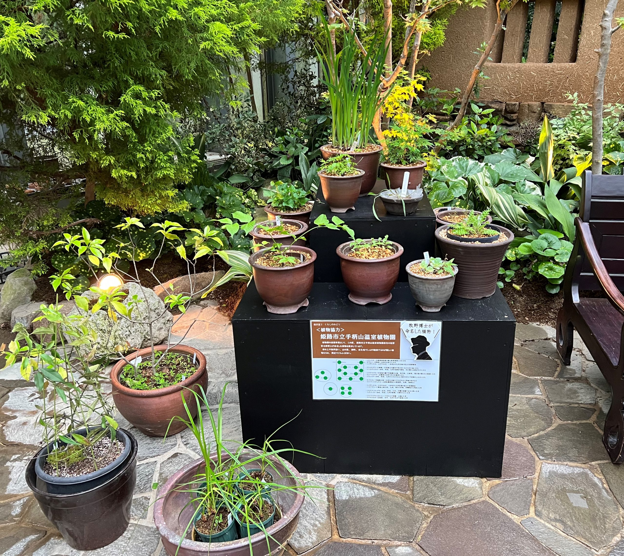 姫路市立手柄山温室植物園