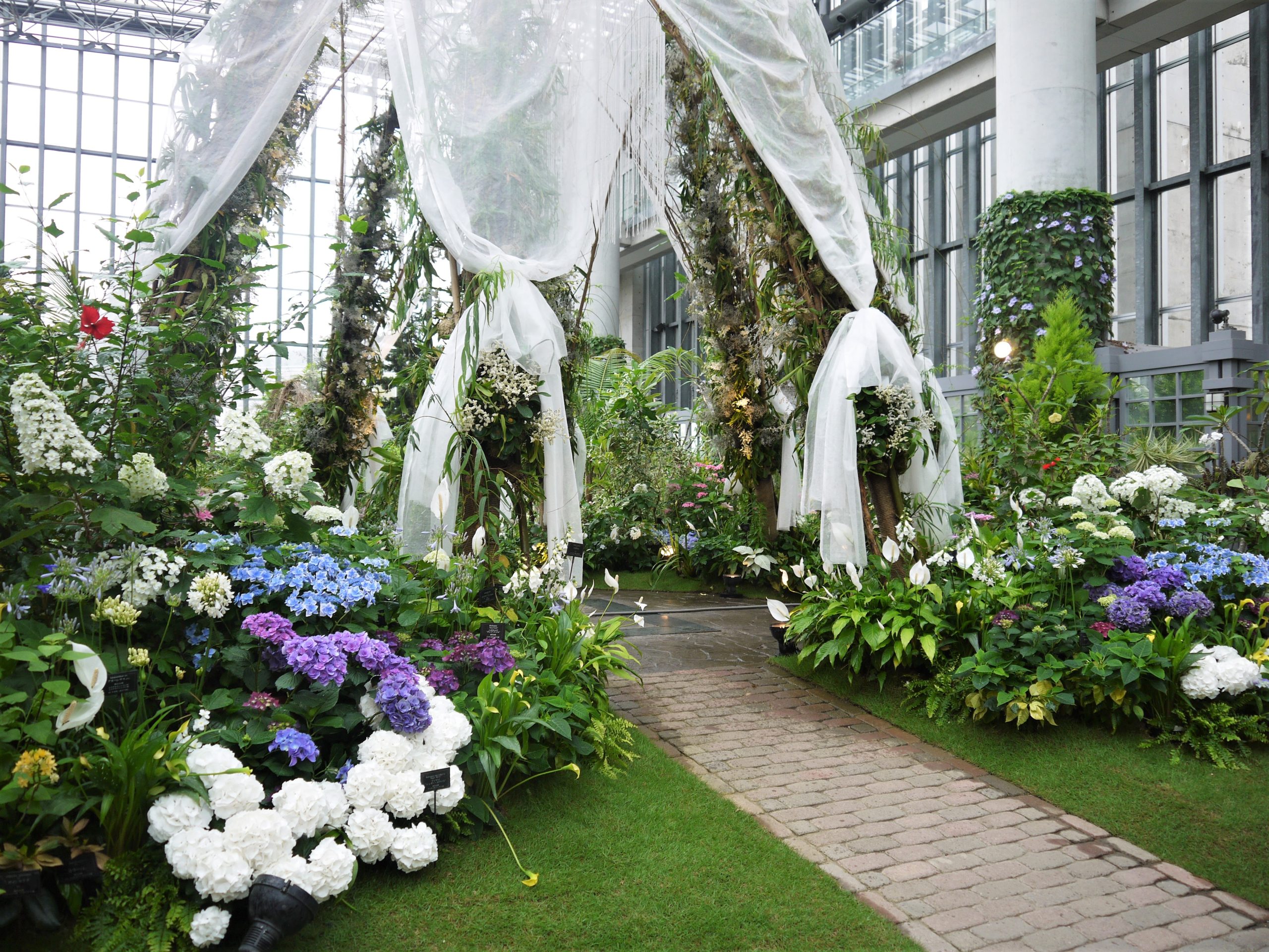 ホワイトガーデン23－６月