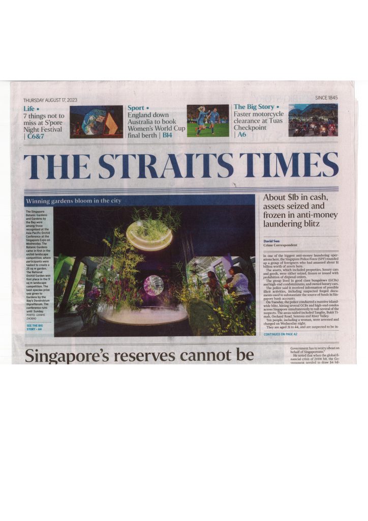 THE STRAITS TIMES