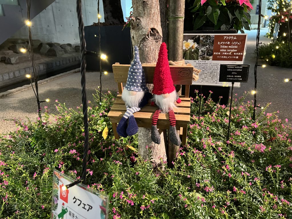 光と花のウインターガーデン